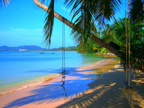 Swings on the Beach Swings on the Beach