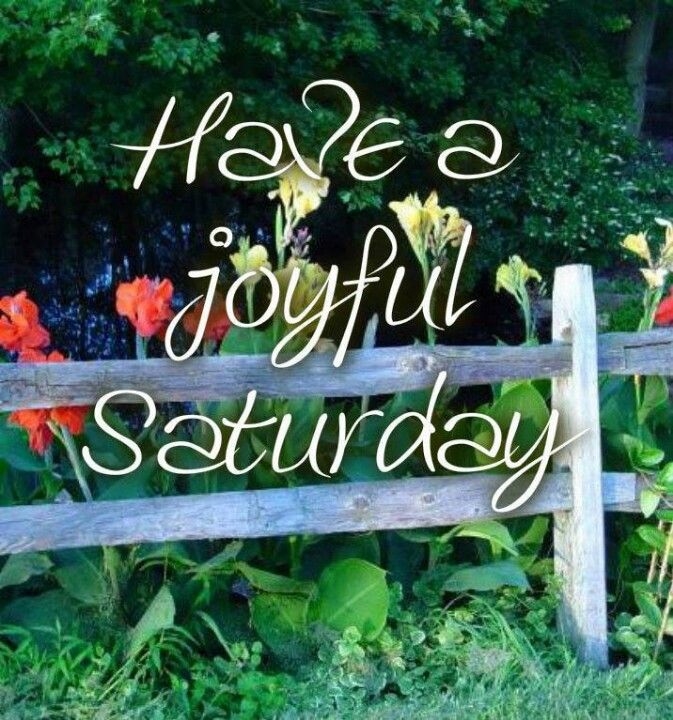 Have a joyful Saturday