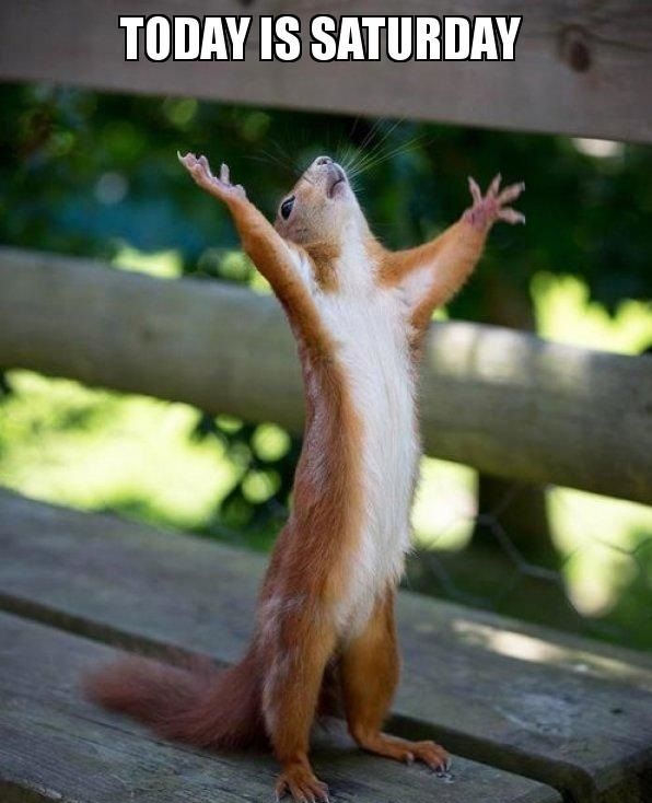 Today is Saturday