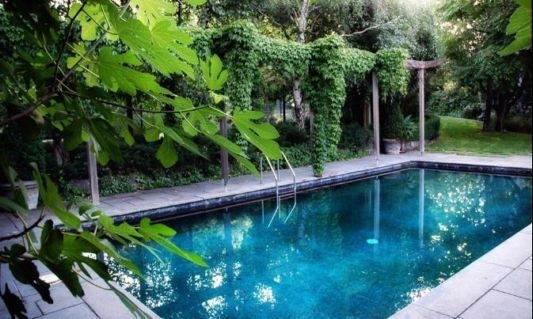 Lovely Pool in a Garden