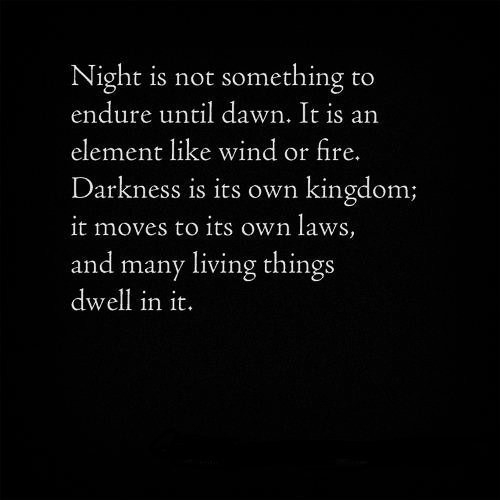 The Night The Night
