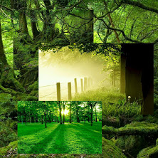 green one green one