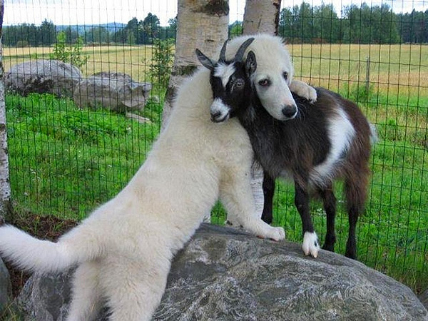 Do not worry buddy you are protected Do not worry buddy you are protected