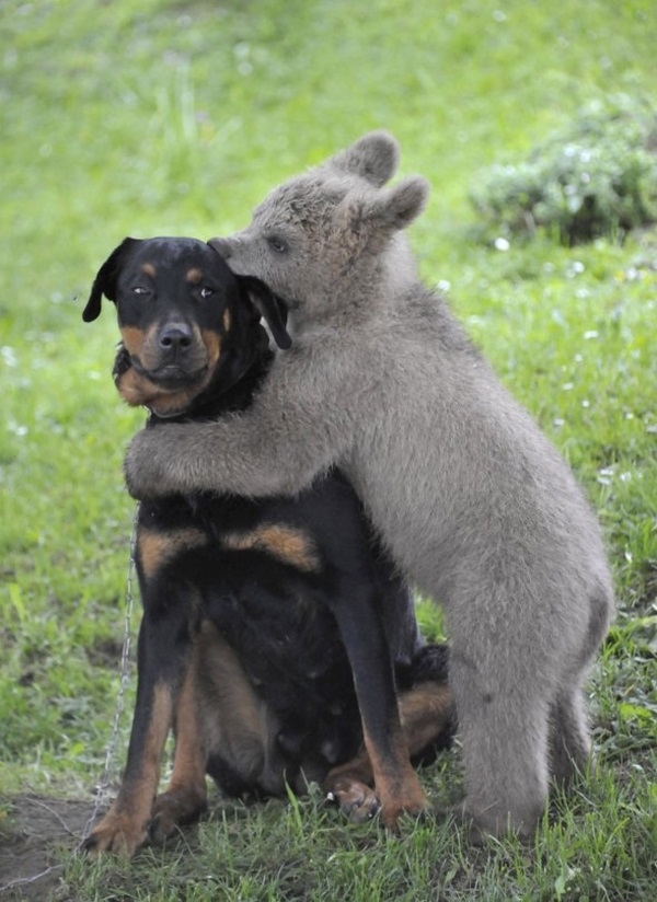 Love has no boundary Love has no boundary