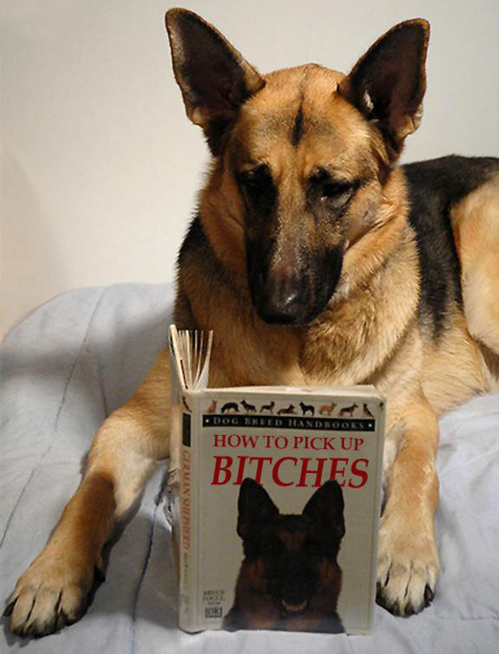 Art of picking up bitches Art of picking up bitches