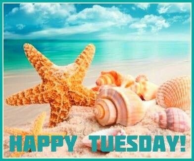 Happy Tuesday Happy Tuesday