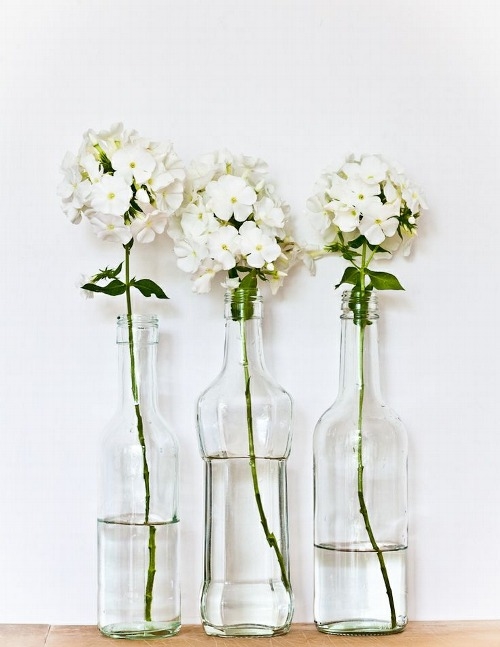 White flowers White flowers