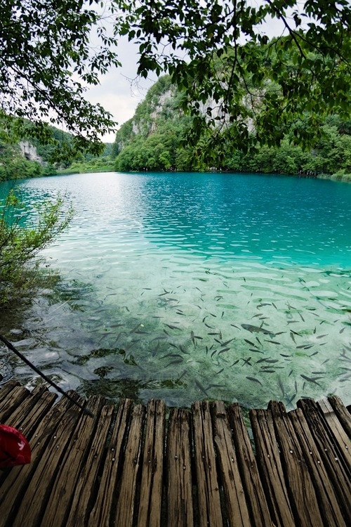 Fishing pond
