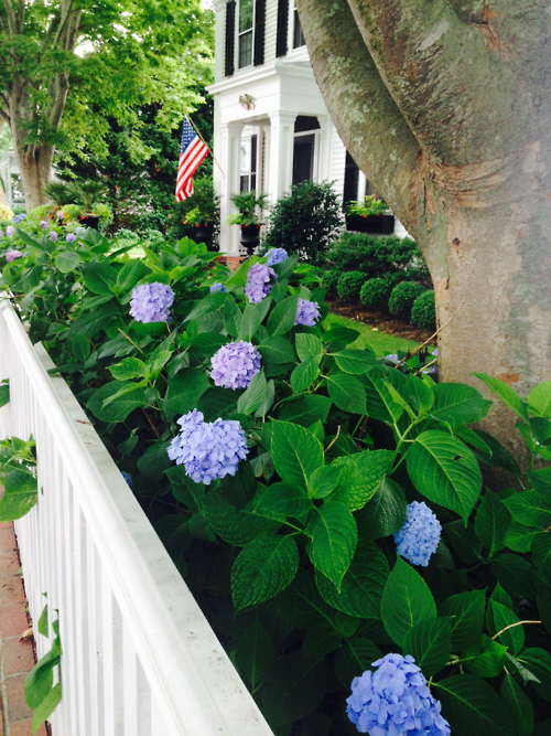 Flower bed