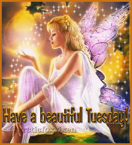 Have a beautiful Tuesday Have a beautiful Tuesday
