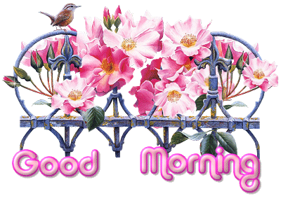 Good Morning Good Morning