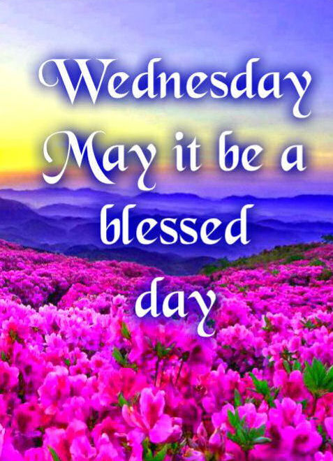 Wednesday Wednesday