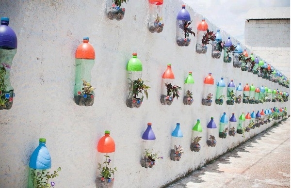 Soda Bottle Garden