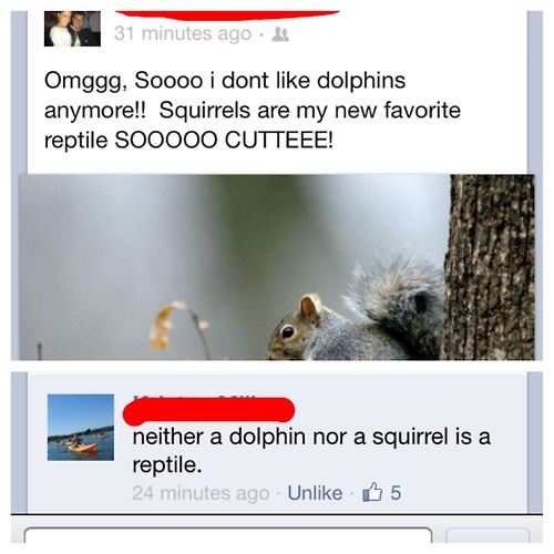 Silly quotes