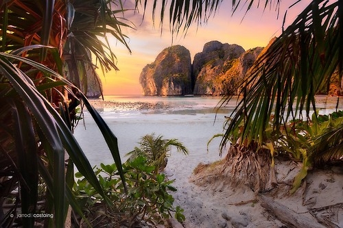 Perfect paradise Perfect paradise