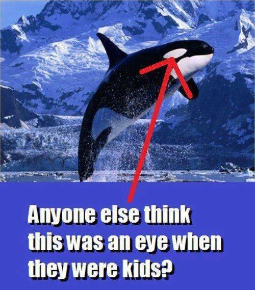 Anyone else fell for this