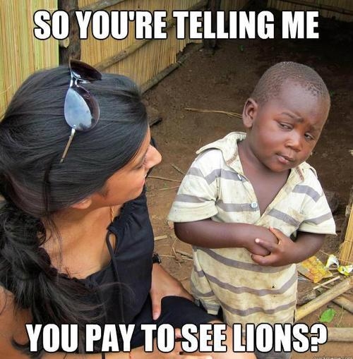 so you telling me so you telling me