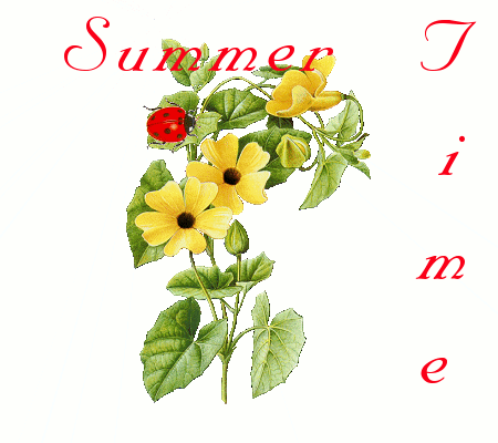 Summertime Summertime