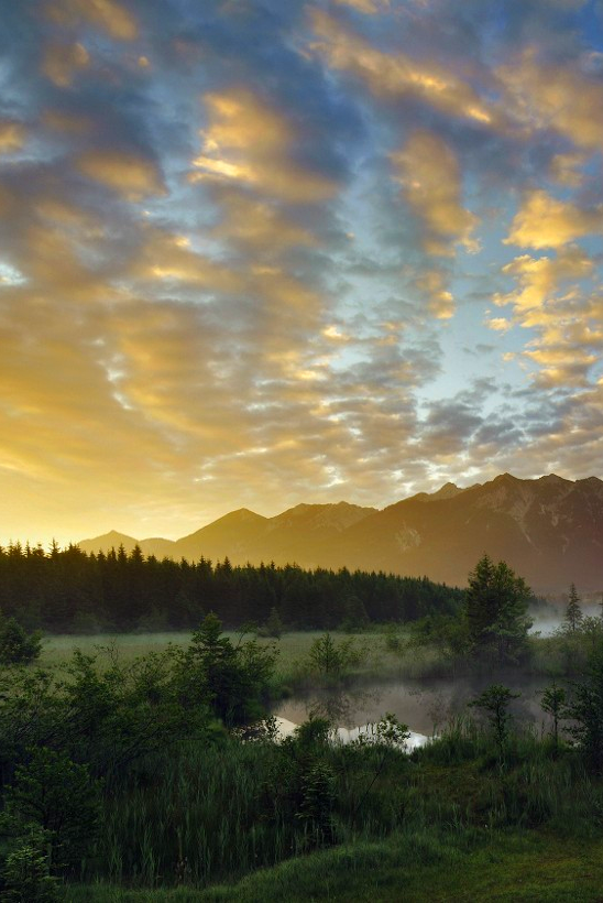 Beauty of nature