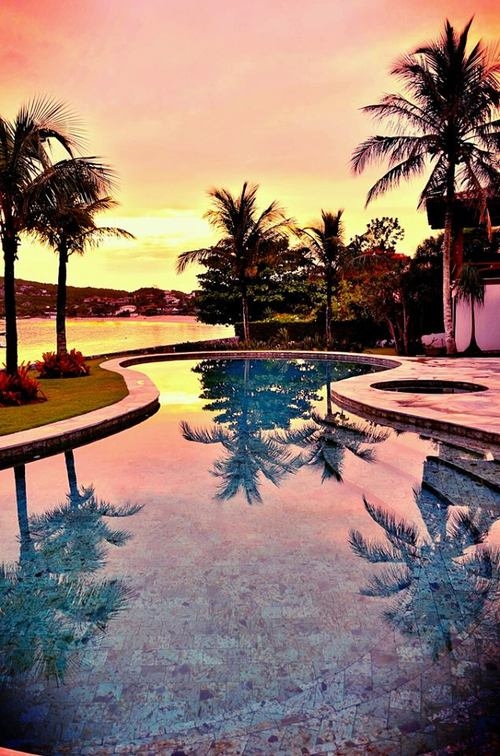 Tropical Reflection