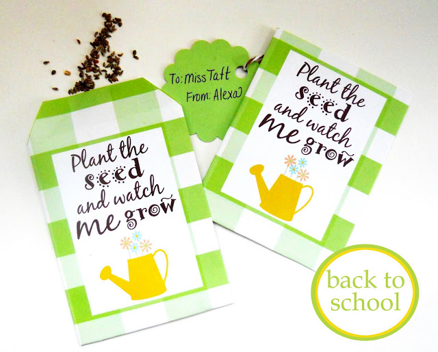 Seed packet idea