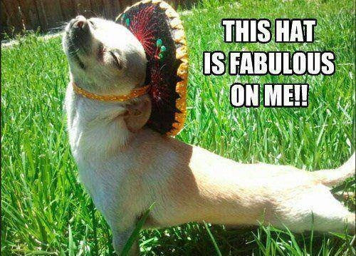 This hat is fabulous on me