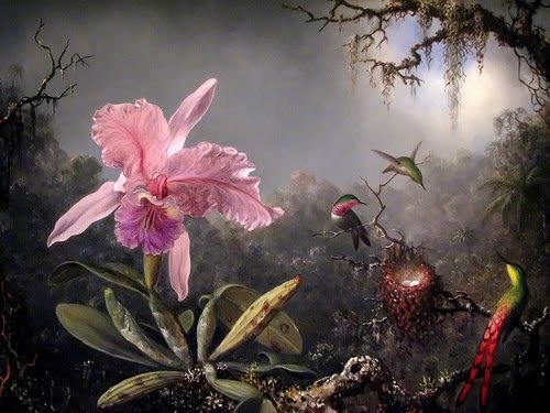 Lovely Pink Lily Lovely Pink Lily