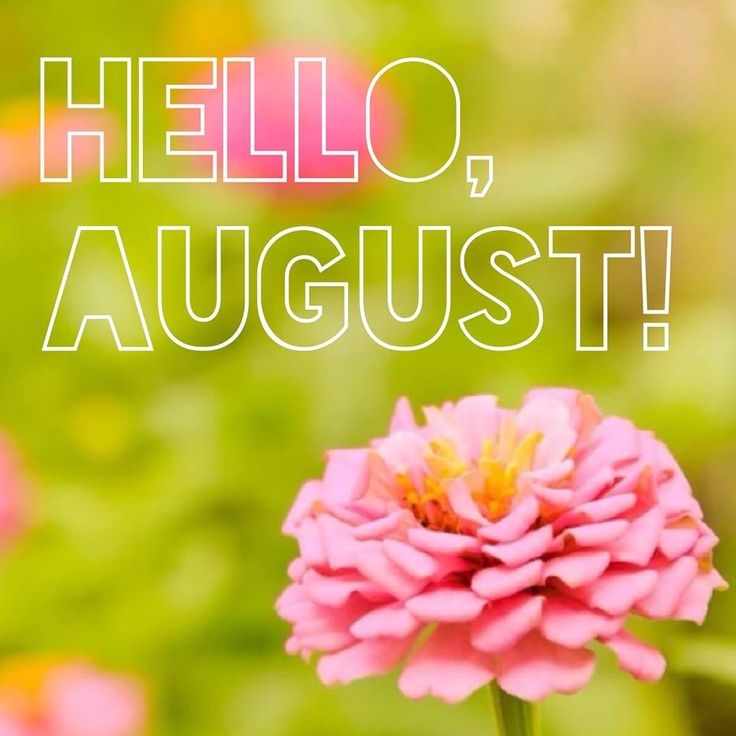 Hello August