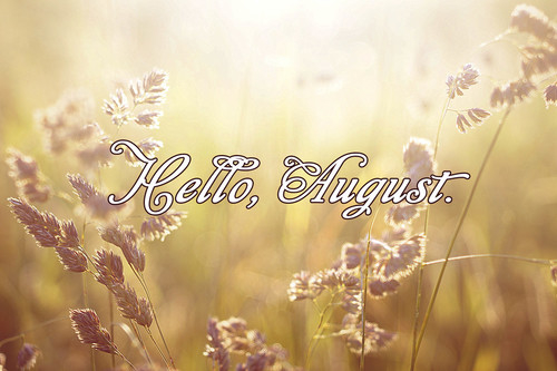 Hello August Hello August