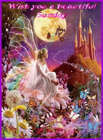 Wishing you a beautiful Sunday