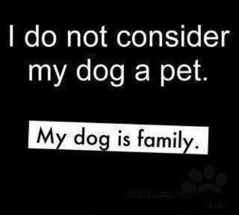 my dog is family