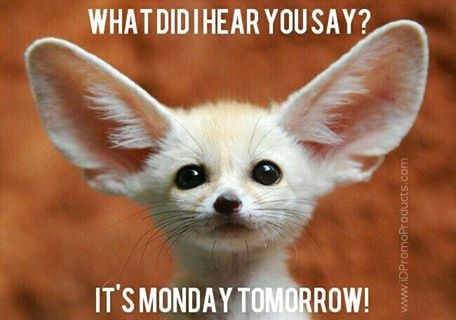 It's Monday Tomorrow