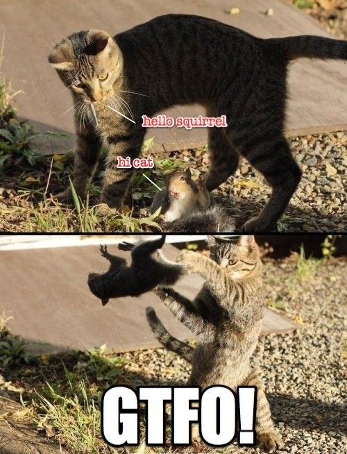 GTFO GTFO