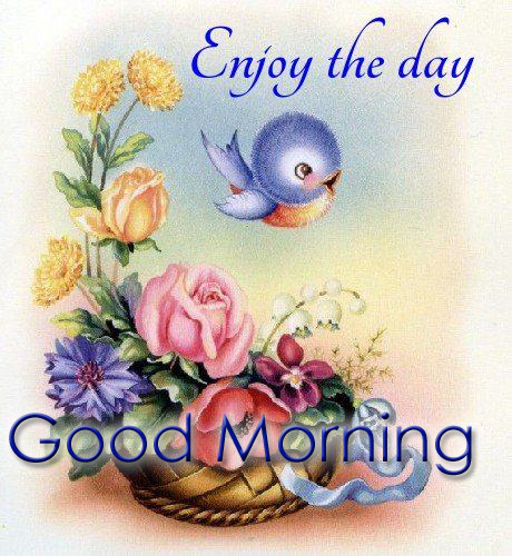 Enjoy the Day Good Morning Enjoy the Day Good Morning