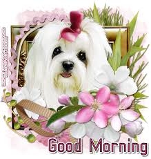 Good Morning