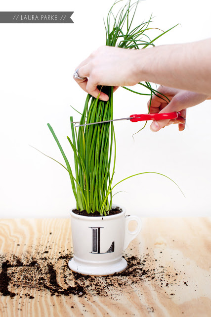 DIY Herb Hostess Gift DIY Herb Hostess Gift