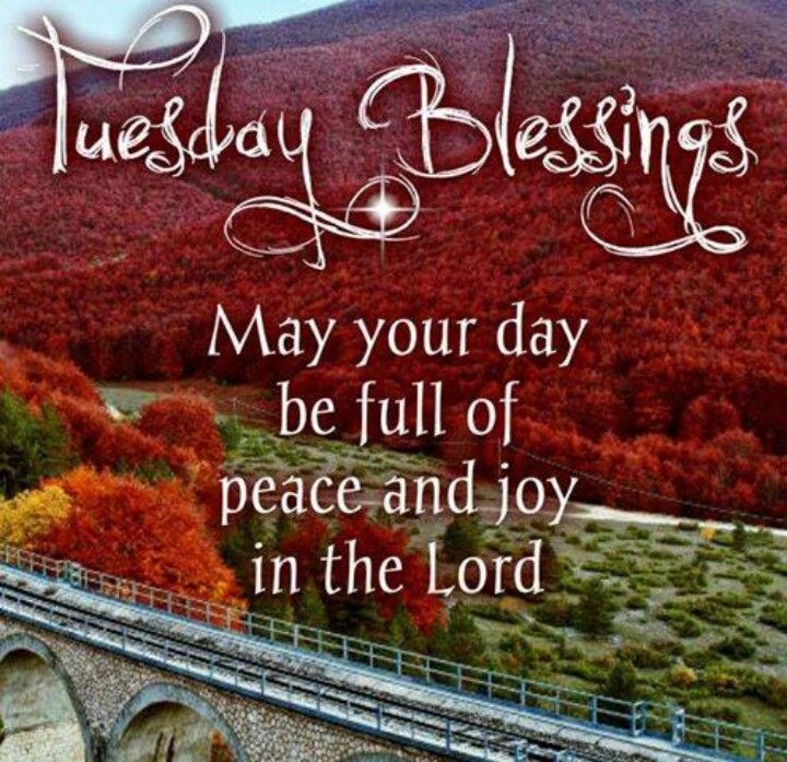Tuesday Blessings