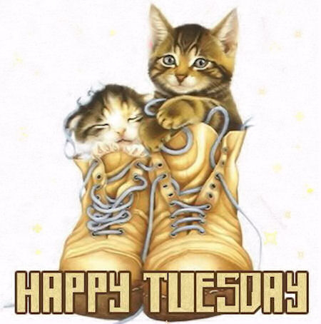 Happy Tuesday