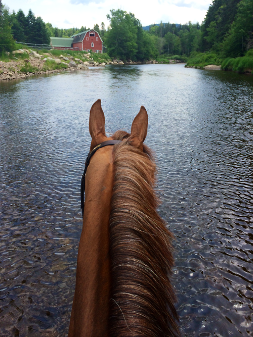 Crossing the stream