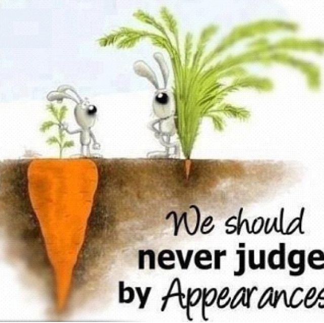 We should Never Judge We should Never Judge