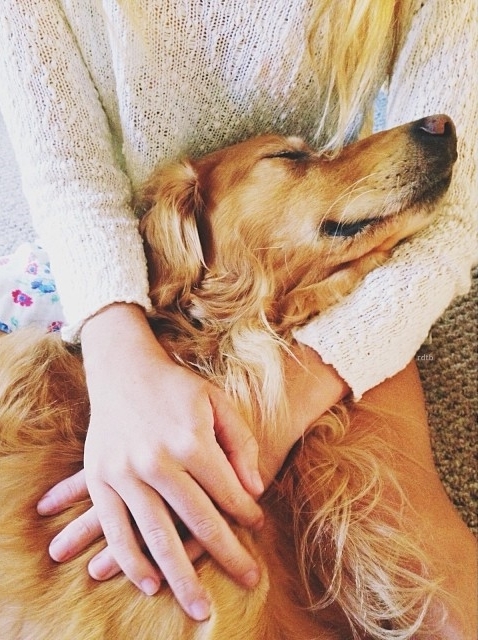Animal love