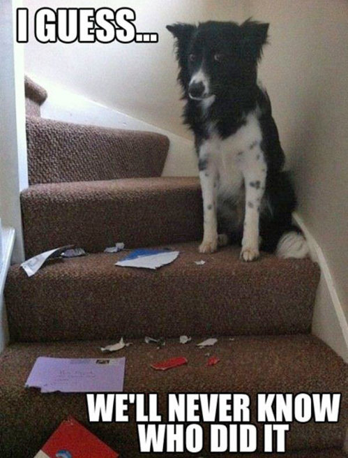 I guess they will never know