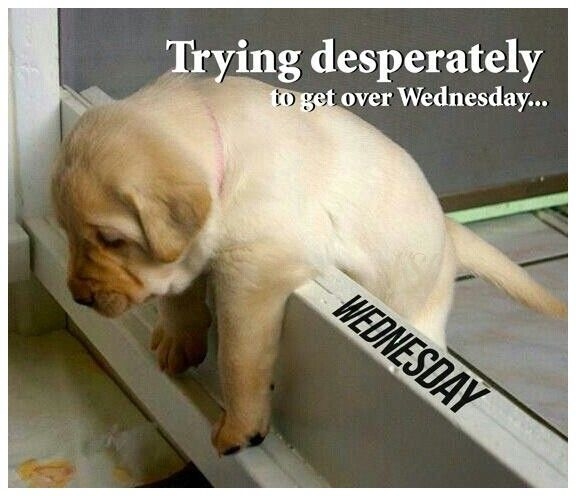 Get over Wednesday Get over Wednesday