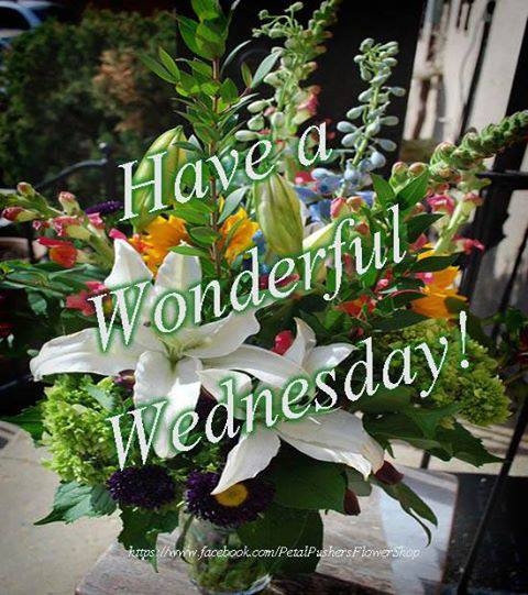 Have a wonderful Wednesday Have a wonderful Wednesday
