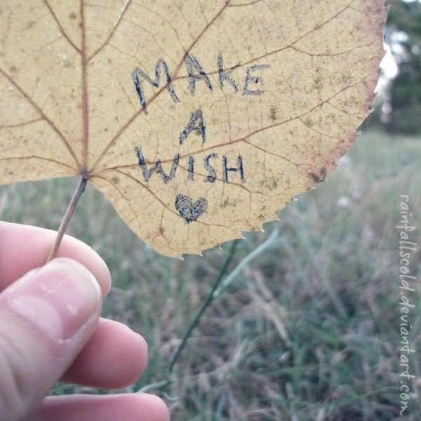 Make a wish