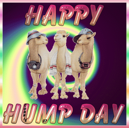 Happy Hump Day