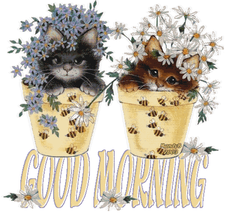 Good Morning