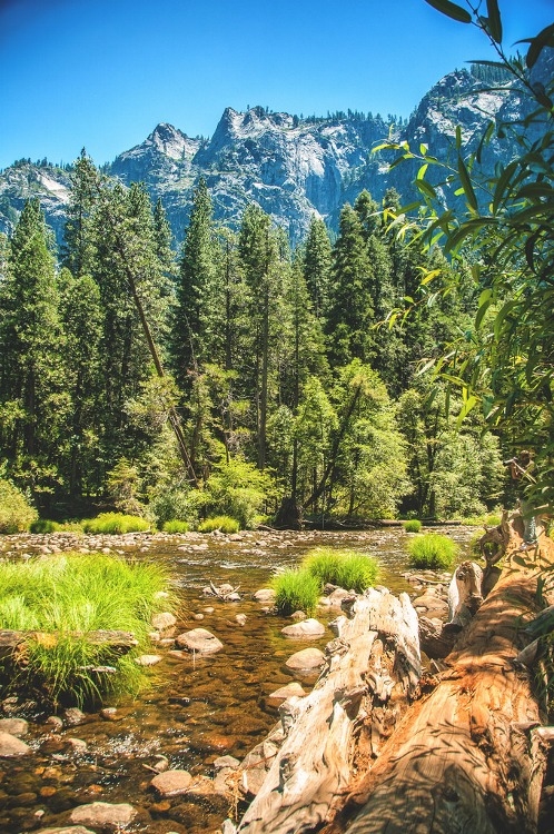 Beauty of Yosemite