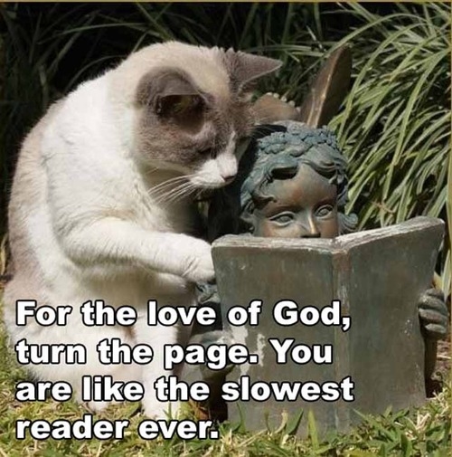 Turn the page Turn the page