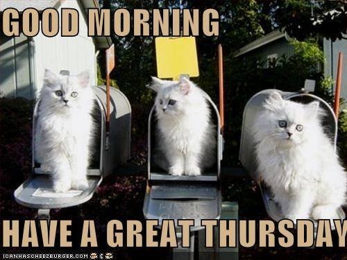 Good Morning Thursday